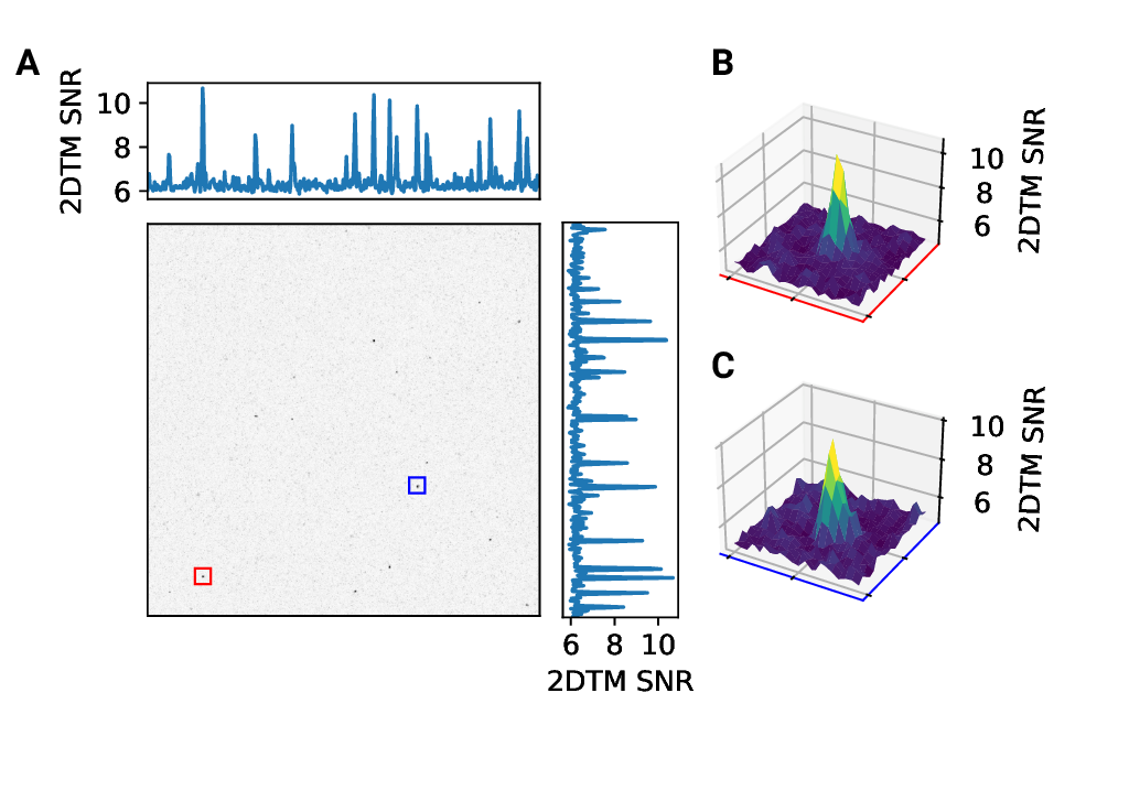 Figure 2 - figure supplement 1: 2D template matching of the large subunit of the ribosome in fib-milled neutrophil-like cells (A) Maximum intensity projection (MIP) cross-correlation map of micrograph shown in Figure 1 (B+C) 3D plot of MIP regions indicated by color boxes in Panel A